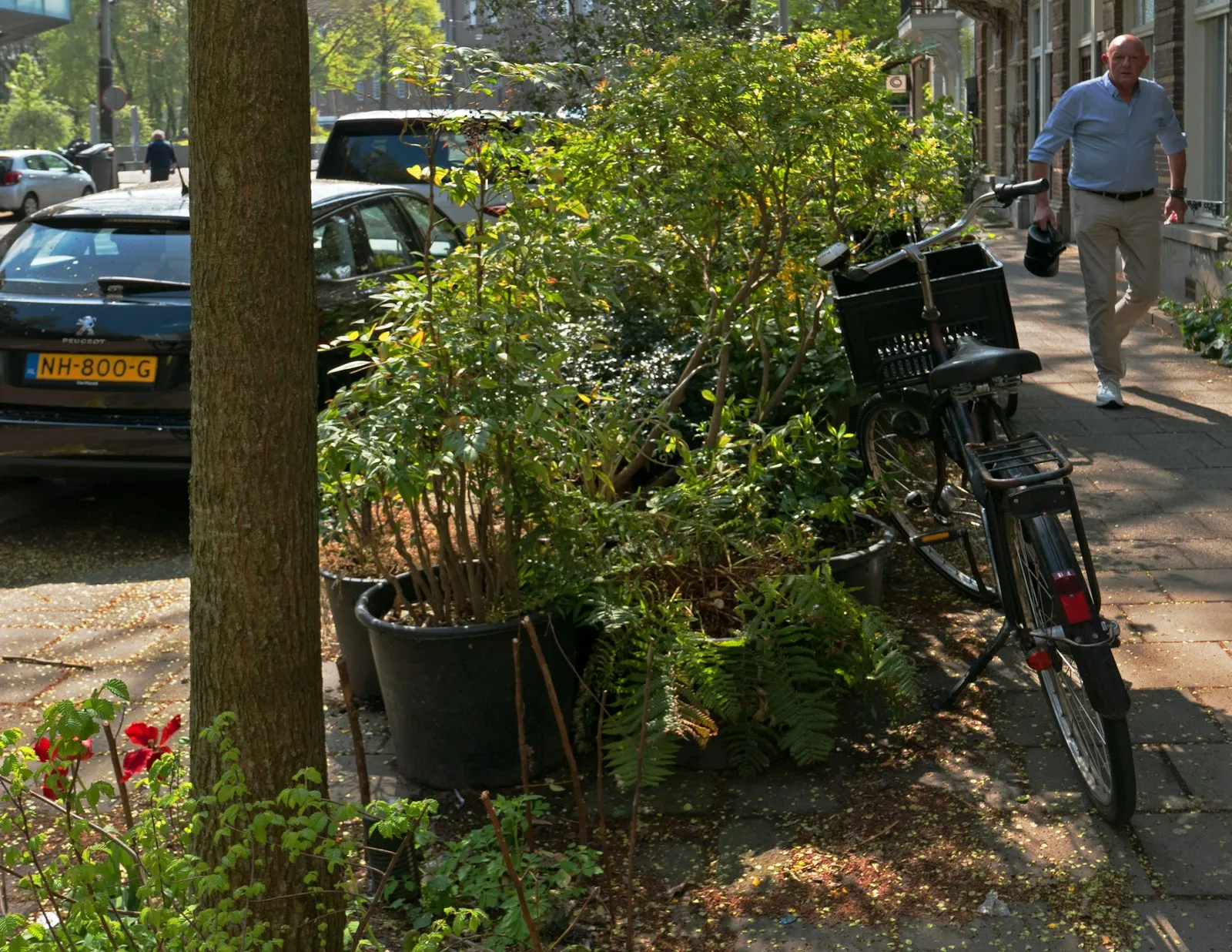 Elektriciteitshuisje plaatsen weigeren Friesland: uw